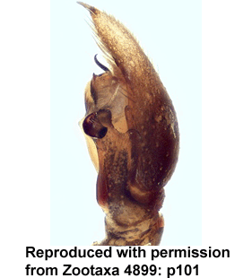 speciesimage
