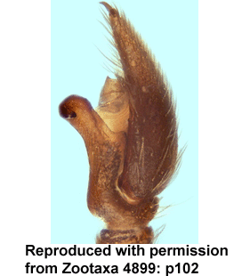 speciesimage