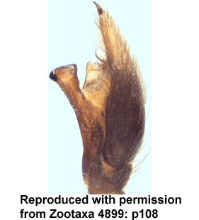 speciesimage
