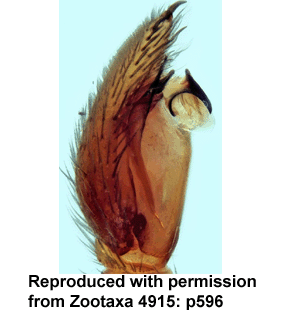 speciesimage