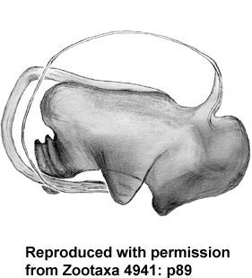 speciesimage