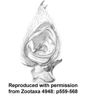 speciesimage