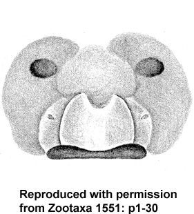 speciesimage