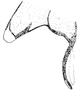 speciesimage