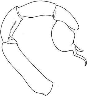 speciesimage