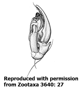 speciesimage