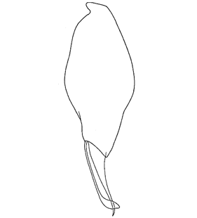 speciesimage