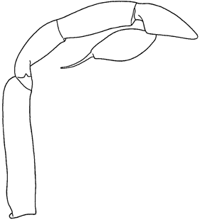 speciesimage