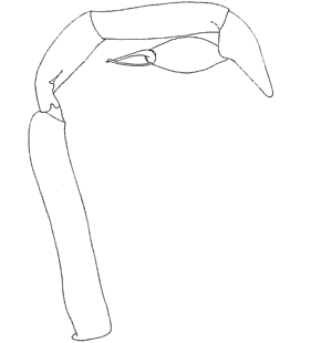 speciesimage