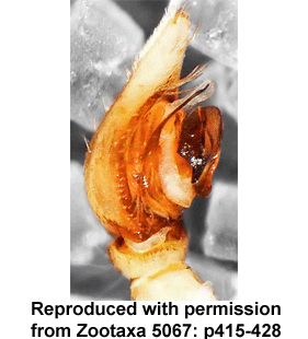 speciesimage