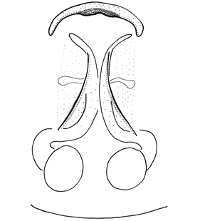 speciesimage