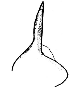 speciesimage