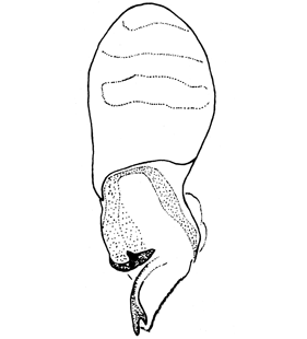 speciesimage