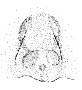 speciesimage