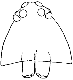 speciesimage