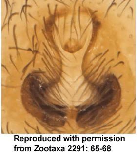 speciesimage