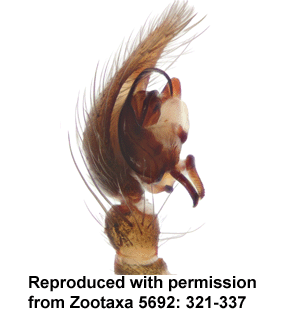 speciesimage