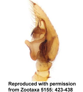 speciesimage