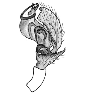 speciesimage