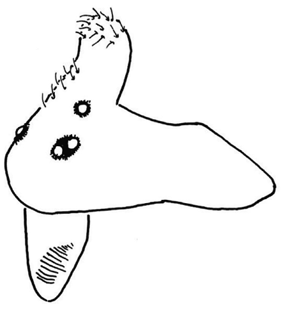speciesimage