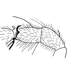 speciesimage