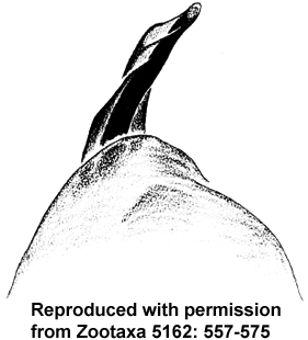 speciesimage