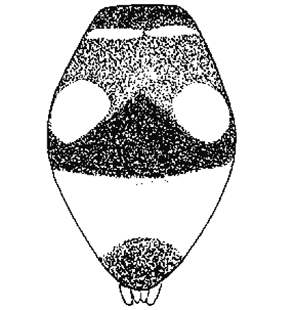 speciesimage