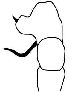 speciesimage