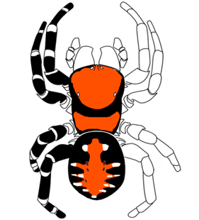 speciesimage