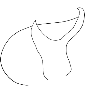 speciesimage