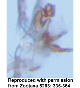 speciesimage