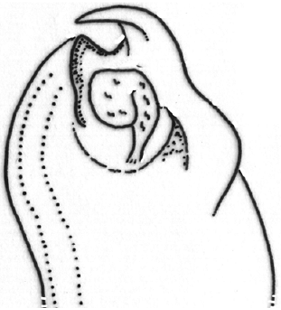 speciesimage