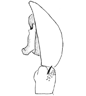 speciesimage