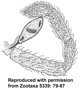 speciesimage