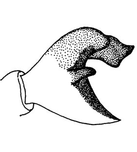 speciesimage