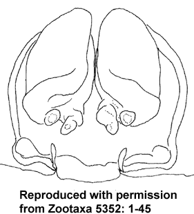 speciesimage