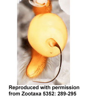 speciesimage