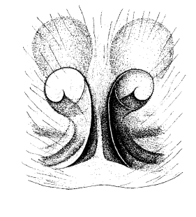 speciesimage