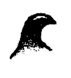 speciesimage