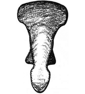 speciesimage
