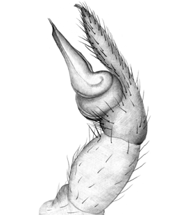speciesimage