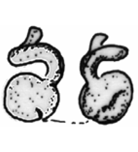 speciesimage
