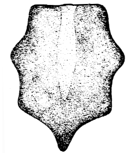 speciesimage