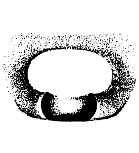 speciesimage