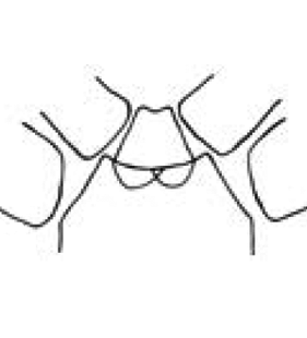 speciesimage