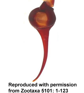 speciesimage