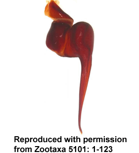 speciesimage