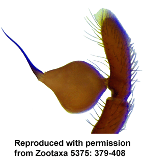 speciesimage