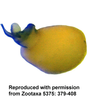 speciesimage