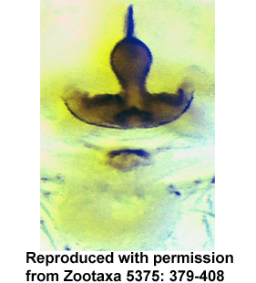 speciesimage